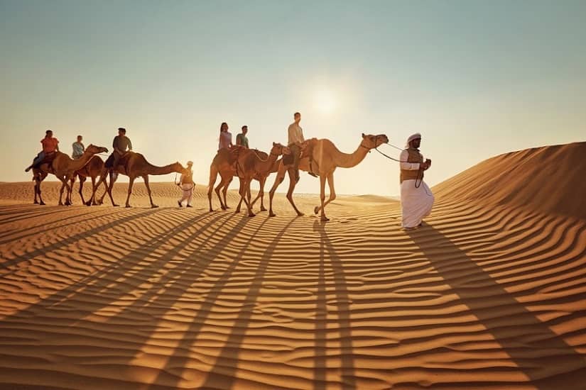 dubai desert safari camel ride